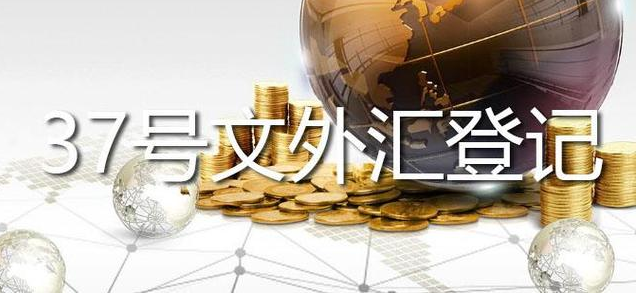37號(hào)文外匯登記