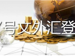 37號文登記解析：合規(guī)返程投資的重要步驟與要點